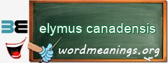 WordMeaning blackboard for elymus canadensis